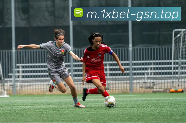 App Interface Preview